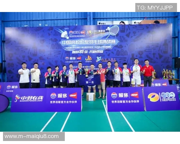 全国锦标赛武汉羽毛球队团队协作表现分析与评价