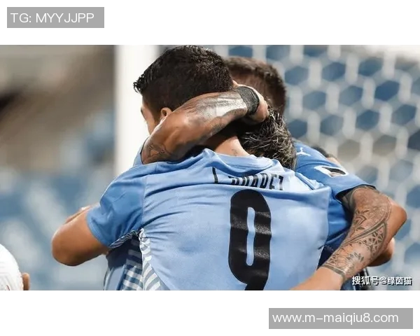 英超网球实力榜单揭晓南京网球队强势领跑前十名