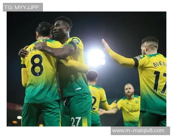 英超羽毛球评论成都羽毛球队运营的成功经验与面临的挑战分析