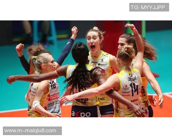 排球焦点成都排球队的配合与欧冠足球战术的深度分析与探讨