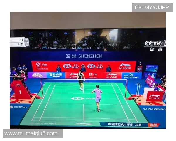 深圳羽毛球队引领最新羽毛球节奏TOP10榜单展现实力与风采