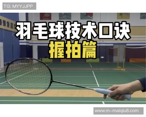 运动最新数据羽毛球新手必看入门攻略轻松掌握技巧与战术提升游戏乐趣